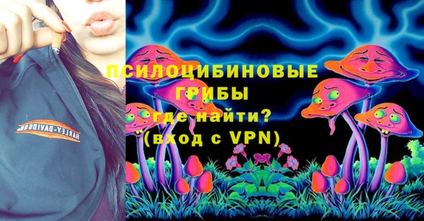прущие крисы Заводоуковск