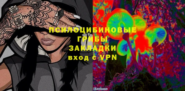 бошки Ельня