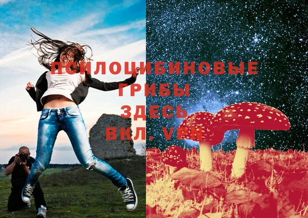 прущие крисы Заводоуковск