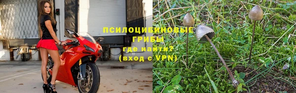 бошки Ельня