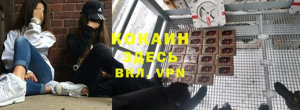 ГАЛЛЮЦИНОГЕННЫЕ ГРИБЫ Чердынь