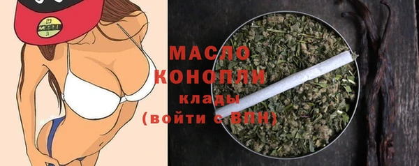 ешки Елабуга
